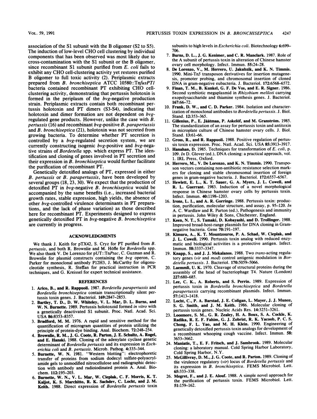 VOL. 59, 1991 PERTUSSIS TOXIN EXPRESSION IN B. BRONCHISEPTICA 4247 association of the Si subunit with the B oligomer (S2 to S5).