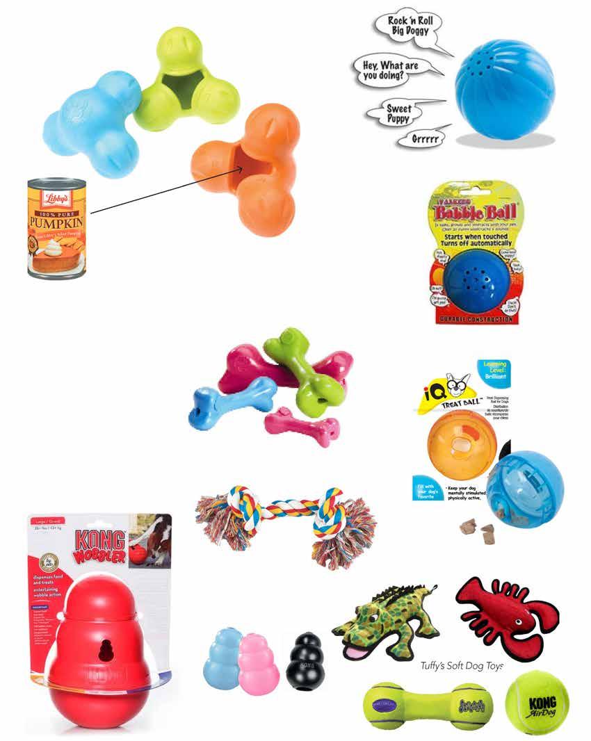 Toys PetQwerks Talking Babble Ball Dog Toy West Paw Zogoflex toys put the FUN in functional! We like to put Pumpkin inside this toy and freeze it... this will keep them busy for a while.