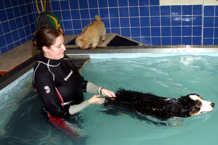 Sessions are then performed under Alison s supervision, or that of our Hydrotherapy Assistant, Bev Beecham.