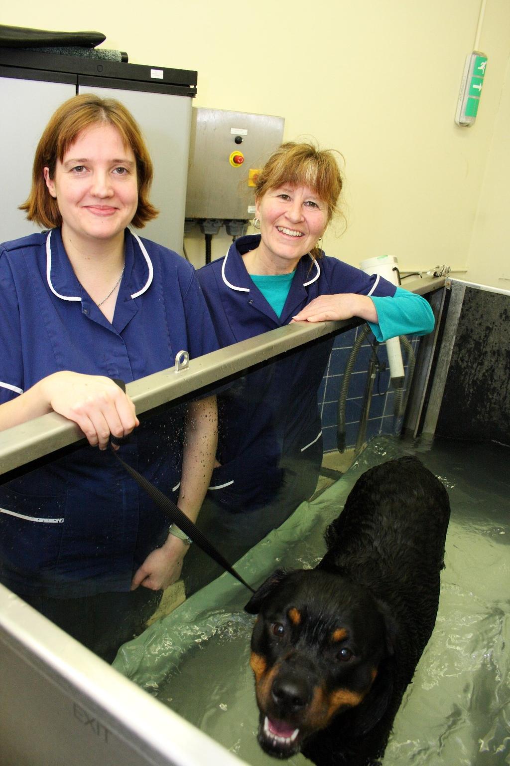Meet The Hydrotherapists... Alison Rooney RVN (on the left) qualified at Brinsbury Agricultural College. She is a nurse of many years experience been employed with this practice since 1991!