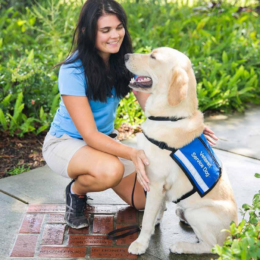 APPRENTICESHIP Trainer Scholarship Supports the education and training of a Paws for Patriots service dog trainer in our two-year apprenticeship program.