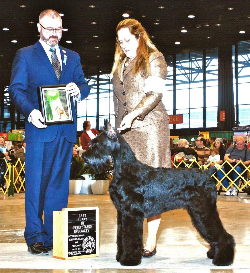Midwestern Specialty Results corrected from March Giant Tales International KC of Chicago Inc. February 22, 2014 BSS: SWEEPSTAKES : CADBURY'S WANNA GO FAST?. 6-9 mo. Dog.