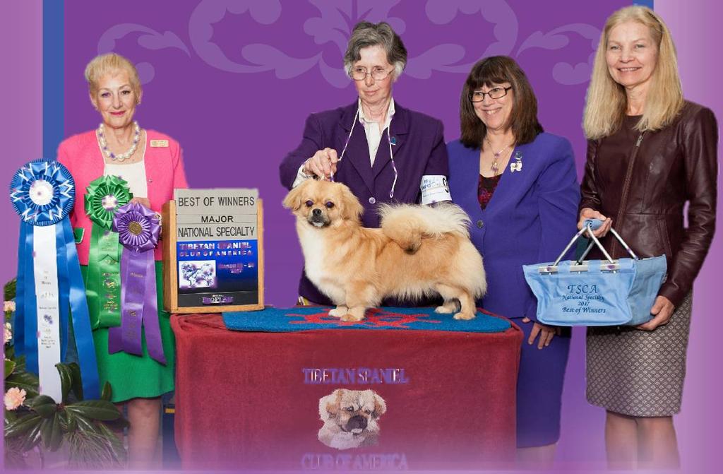 Ohio! Breeders: Carol & Ed Tyte (White Acres, Reg) & Mallory Cosby Driskill (Ambrier) Owners: Connie Buckland