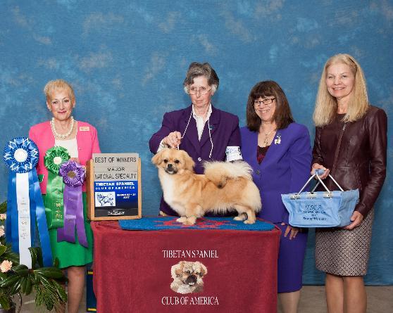W A & mbrier hite Acres Hannah Present a winning litter from the 6-9 puppy classes!