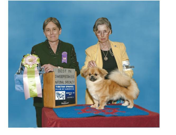 Harry Winners Dog and Best of Winners at Alamance KC, FLTSA supported entry and Raleigh KC, TSCA supported entry.