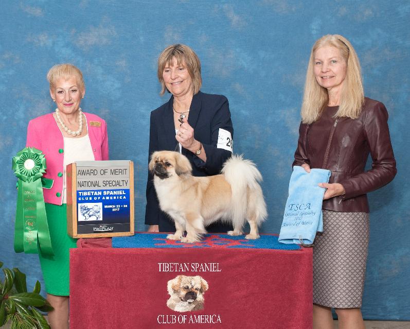 winning Tibetan Spaniel in AKC history, as well as GCHG Kan Sing s Po-Ba-Ri at Arundina, and is the grandsire of this year s Best of Breed at
