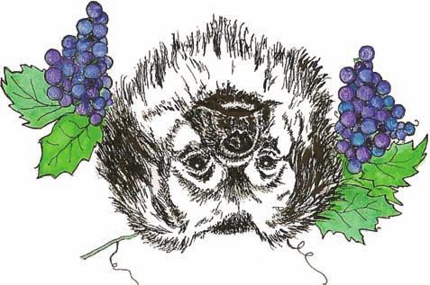 66 F inger Lakes Tibetan Spaniel Association 15th Annual Tibetan Spaniel Specialty with Sweepstakes with Wine Country Cluster September 28 October 1, 2017 Sampson State Park on the shore of Seneca