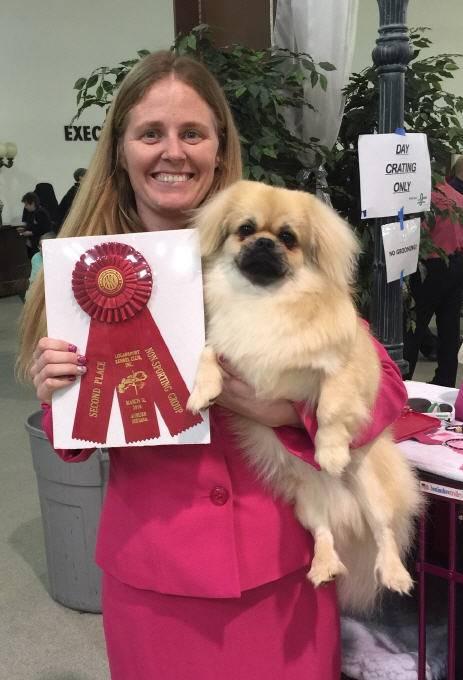 BOARD MEMBER Christy Collins For more than four decades, Allan Reznik has been immersed in the world of purebred dogs: as a breeder, exhibitor, awardwinning journalist, editor, broadcaster and