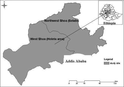 VOL. 14, 2007 BOVINE TUBERCULOSIS IN ETHIOPIAN CATTLE 1357 FIG. 1. Map of the study area. Selalle and Holeta are known for their dairy production.