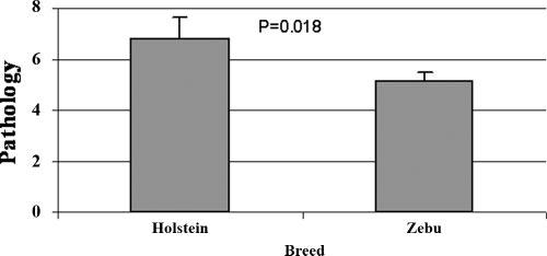 VOL. 14, 2007 BOVINE TUBERCULOSIS IN ETHIOPIAN CATTLE 1359 FIG. 2. Mean pathology scores of lymph nodes. Pathology scores were determined as defined by Vordermeier et al. (43).