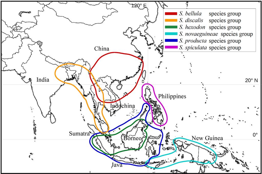 FIGURE 15. Distribution of Scelimena species groups.