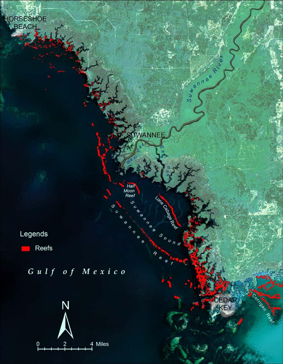 Figure 2-20. Major features of the Suwannee estuary.