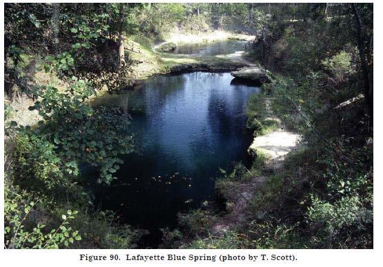 2.2.2 Lafayette Blue Spring Middle Suwannee River Springs Restoration Plan Lafayette Blue Spring (Figure 14) is located 7-miles (11.3 km) northwest of Mayo on the west side of the Suwannee River.