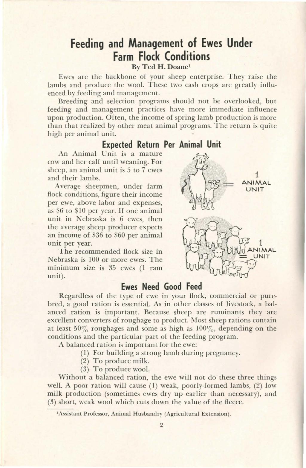 Feeding and Management of Ewes Under Farm Flock Conditions By Ted H. Doanel Ewes are the backbone of your sheep enterprise. They raise the lambs and produce the wool.