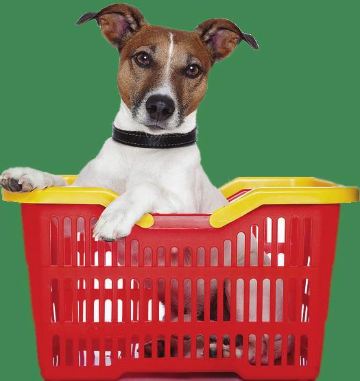 Did someone say Shopping? Located just left of the main front doors in our adoption centre, the OHS Buddy & Belle Boutique is the best place to get the supplies you need for your special pet.