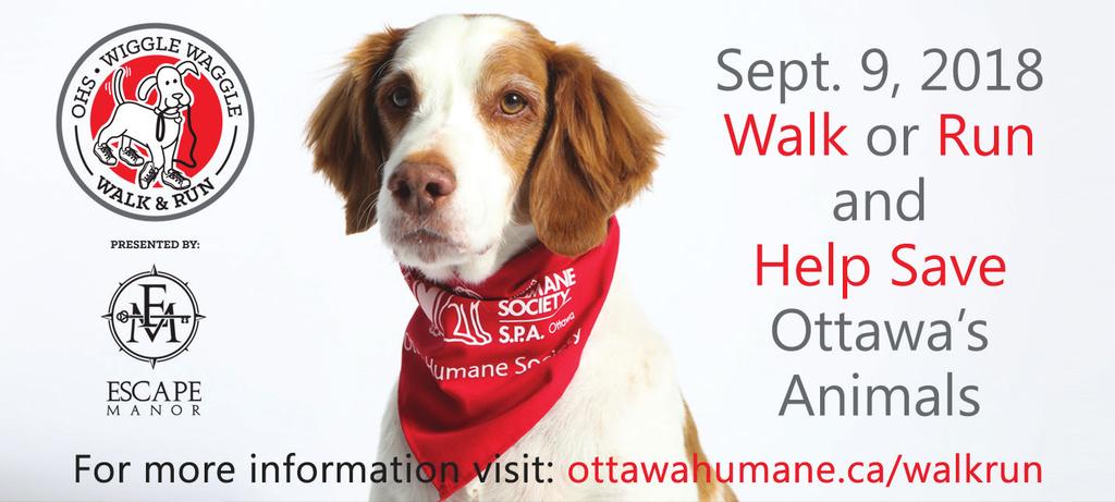 OHS and community events help the nearly 10,000 animals that we care for each year. Check out our upcoming events! Wiggle Waggle Walk and Run presented by Escape Manor: Sept.