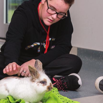Animal Advocate Program Animal-related careers are all about hard work and compassion.