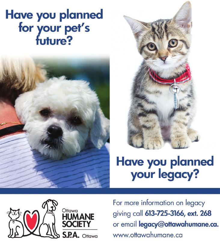 The Ottawa Humane Society partners with the Bereavement Support & Education Group of Ottawa to offer on-going grief counselling in our community.