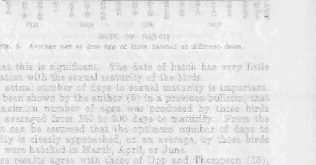It has been shown by the author (9) in a previous bulletin, that the maximum number of eggs was produced