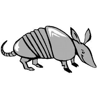 11 God gave armadillos a very special way to protect themselves. They have their own armor! What is armor? (Show a picture of a knight in armor.