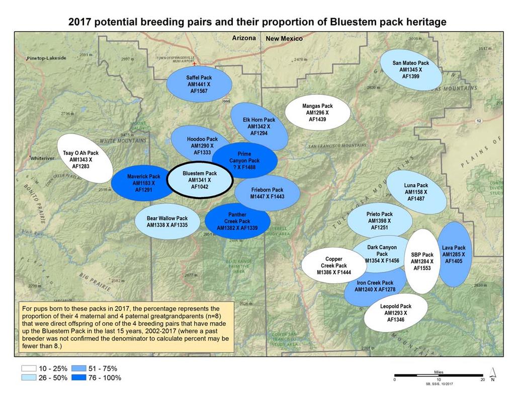 Mexican Wolf Reintroduction Project Page 12 of 14 Figure 1. Potential 2018 breeding pairs and their relationship to the Bluestem Pack.