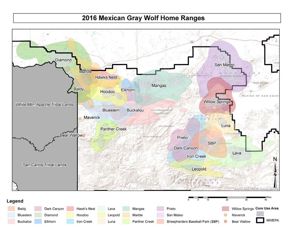 Mexican Wolf Reintroduction Project Page 13 of 14 Figure 2. Mexican wolf home ranges for 2016 in Arizona and New Mexico within the Mexican Wolf Experimental Population Area (MWEPA).