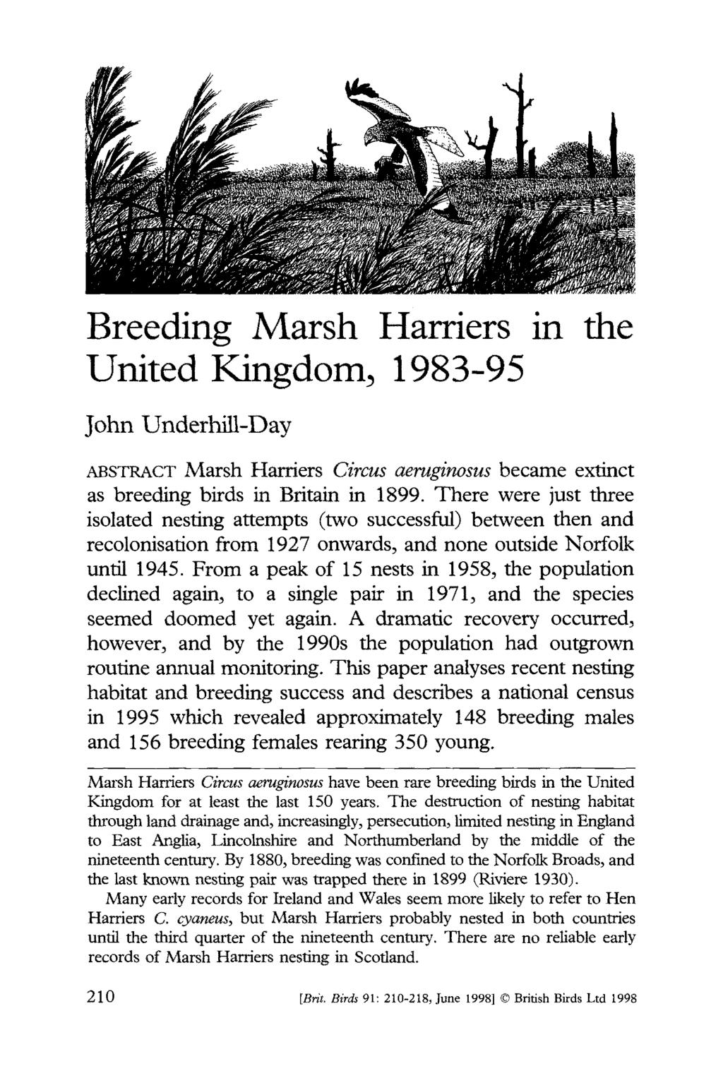 Breeding Marsh Harriers in the United Kingdom, 98-95 John Underhill-Day ABSTRACT Marsh Harriers Circus aeruginosus became extinct as breeding birds in Britain in 899.