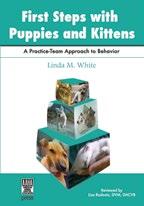 Scratching Problems Helping Your Dog Overcome the Fear of People Solving Digging and Chewing Problems Understanding Behavior Changes in Aging Pets Taming the Kitten with an Attitude AAHA s Resources