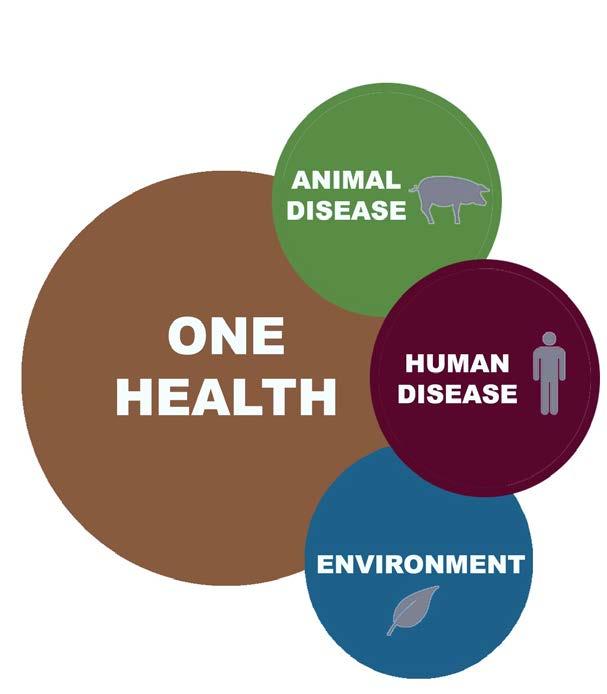 Vision and Mission Vision To be the global leader in providing innovative and state-of-the-art veterinary diagnostic services Mission To promote animal health
