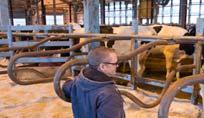 Assess Cow and Teat Cleanliness Check milk filter for cleanliness signs of
