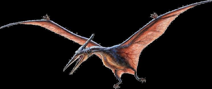 Of all the creatures that ever lived, pterosaurs probably most closely resemble the
