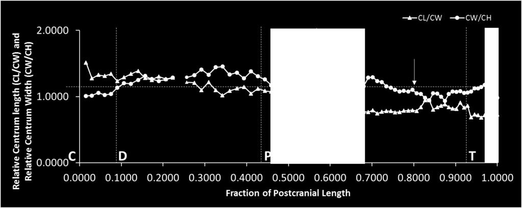 Carpenter FIGURE 7. A. Relative centrum dimensions and changes in centrum length based on GSM-1. B. Relative centrum dimensions and changes in centrum length for PV1993.0001.0001. Note that PV1993.