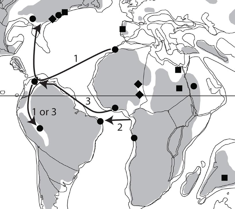 Figure 3-15. Proposed routes for three independent dyrosaurid dispersal events from Africa to the New World. Numbers correspond to dispersal descriptions provided in text.