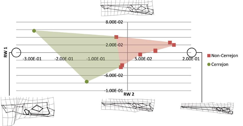 Figure 5-3. Morphospace x-y scatter plot of all 10 dyrosaurid taxa known from reasonably complete skulls resulting from relative warps analysis. X-axis is Relative Warp 1; Y-axis is Relative Warp 2.