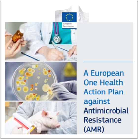 The European One Health Action Plan against Antimicrobial Resistance Goals: Include the role of the environment Improved data