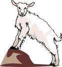 OCEANA COUNTY 4-H SMALL MARKET GOAT RECORD BOOK- 2018 As a member of the Small Market Animal Project, you are required to submit your records as part of an educational project notebook in order to