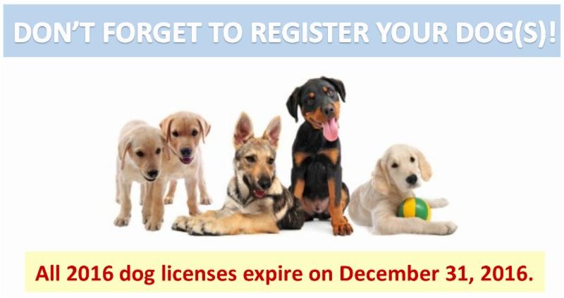 Rabies Shots - $10.00 Nail Trimming - $10.00 Ear cleaning - $5.00 Cumberland residents can also register their dogs at the same time! Neutered - $6.00 Not Neutered - $11.