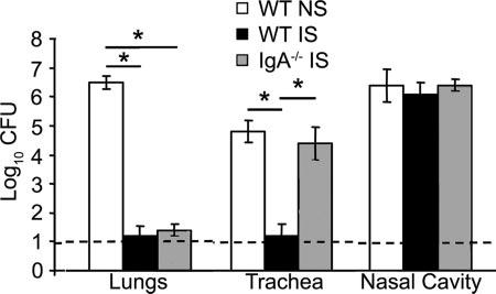 4420 WOLFE ET AL. INFECT. IMMUN. FIG. 6. Effect of convalescent-phase serum from wild-type (WT) versus IgA / mice on colonization by B. bronchiseptica.