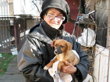!! A lot of unwanted puppies saved! --Anda Popescu Tg.