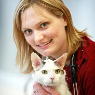Carolyn completed a residency in Small Animal Medicine at the University of Sydney in 2003 and concurrently obtained a Masters in Veterinary Clinical Studies in the epidemiology and treatment of