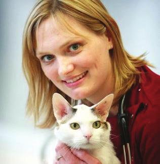 Ability to understand key differences when dealing with certain disease conditions in cats versus dogs.