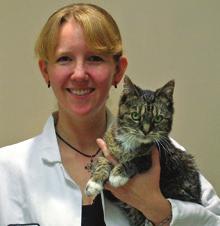 She is president of the American Association of Feline Practitioners (AAFP) and is a feline medicine consultant for the Veterinary Information Network.