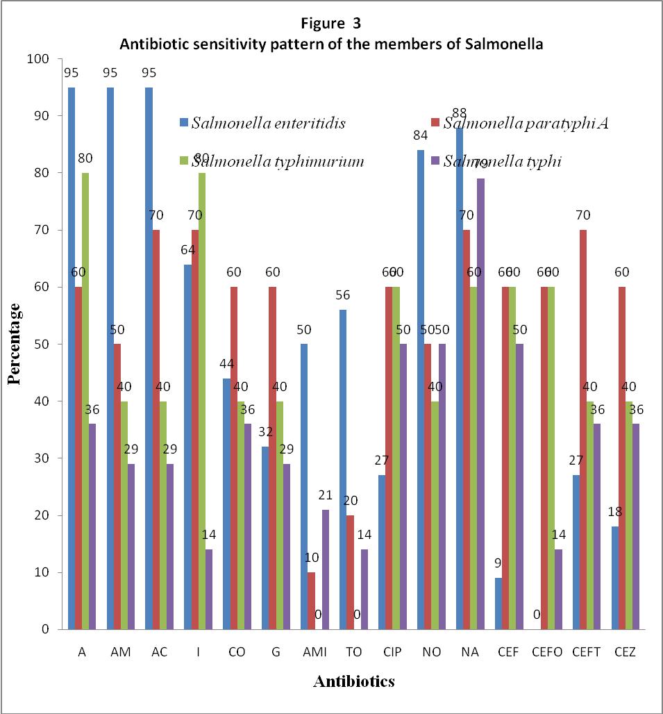 Figure-3: Antibiotic sensitivity pattern of the members of salmonella A-Ampicillin, AM-Amoxicillin, AC-Amoxyclav, I-Imipenum, CO-Cotrimoxzole, G-Gentamycin, AMI-Amikacin, TO- Tobramycin,