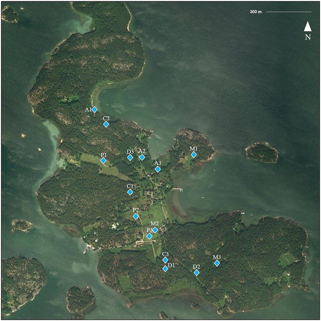 Sormunen et al. Emerging Microbes & Infections (2018) 7:189 Page 9 of 11 Fig. 4 Study transects on Seili Island.