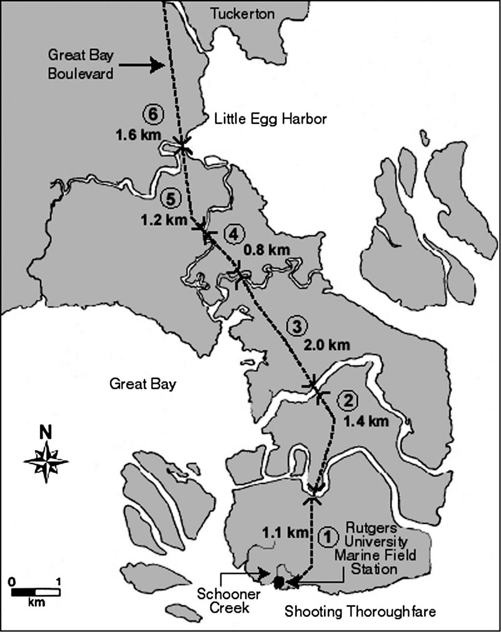 30 S. Szerlag, S.P. McRobert Figure 1. Detailed map of the study site, Great Bay Boulevard in the Jacques Cousteau National Estuarine Research Reserve (see Hoden and Able, 2003).