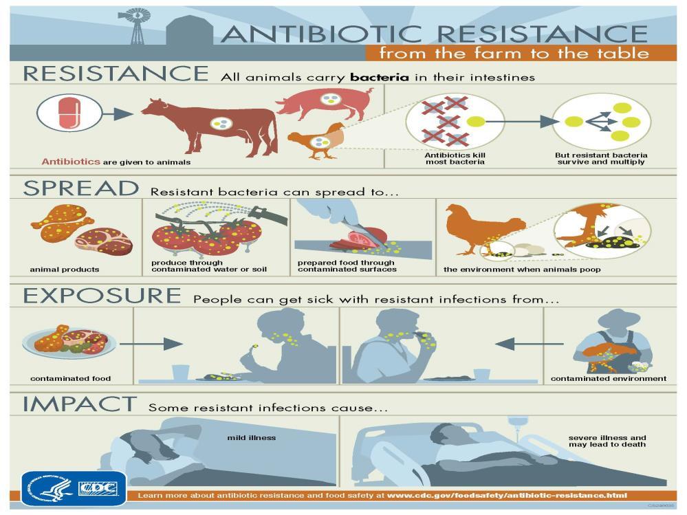 FDA Guidance for Industry 152 Finalized 2003 Evaluating the Safety of Antimicrobial New Animal Drugs with Regard to their Microbiological Effects on Bacteria of Human Health Concern