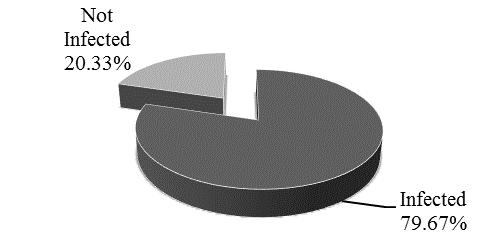 Figure 1: Proportion of study animals infected with at least one parasite group Out of the 327(79.67%) of the individuals that were found to be infected, 45.
