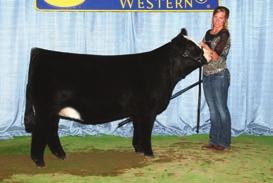 In her short career, she has produced $200,000 in embryo and progeny sales.