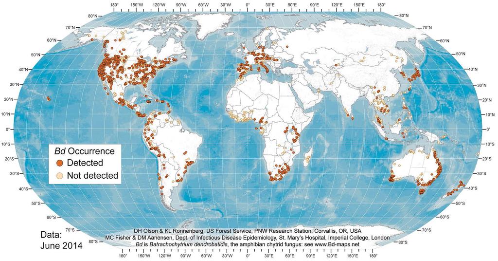 Fig. 1: Global distribution ofbatrachochytrium dendrobatidis in June 2014. Map may be downloaded at: http://www.fs.fed.us/pnw/lwm/aem/people/olson.html.