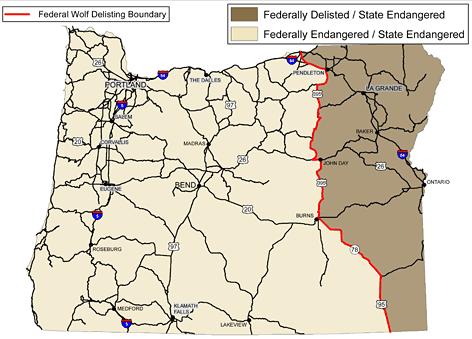 Figure 3: The Federal Wolf Delisting Boundary.